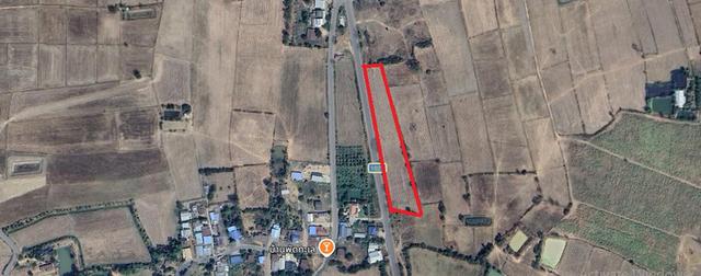 17 ไร่ แถมฟรี 3 งาน 42 ตรว  บ้านพัดทะเล  ใกล้เทศบาล ลำนางแก้ว  อ. ปักธงชัย 4