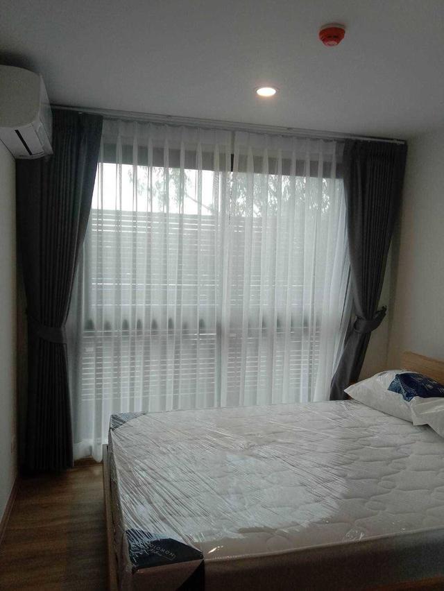 ให้เช่าคอนโด เลี้ยงสัตว์ได้ For Rent: Arlo Lasalle 17 | อาร์โล ลาซาล 17 2