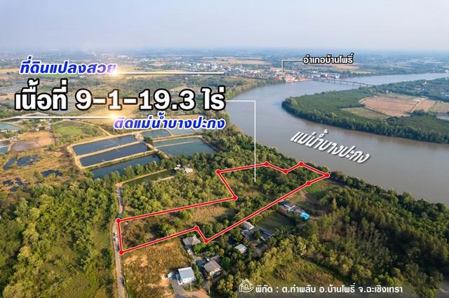 ขายที่ดินติดแม่น้ำบางปะกง 9 ไร่เศษ (ถมแล้วบางส่วน) ต.ท่าพลับ อ.บ้านโพธิ์ จ.ฉะเชิงเทรา 1