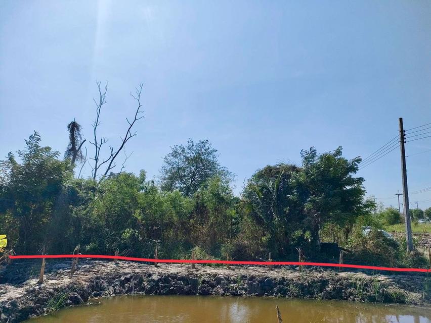 ขายที่ดินเนื้อที่ 106 ตรว. (ถมแล้ว) - ห่างจากถนน คู้-คลองสิบ ฝั่งเหนือ 50 เมตร - ห่างจากแยกลำหิน 700 เมตร - มีถนนสาธารณะกว้าง 8 เมตร มีไฟฟ้าผ่าน..... 6