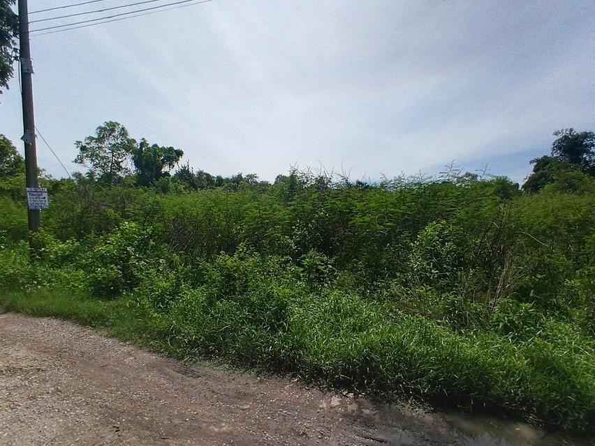 ขายที่ดิน 3-2-34 ไร่ ซอยนิมิตรใหม่10 ถนนนิมิตรใหม่ กองดินทราย มีนบุรี กรุงเทพฯ 3