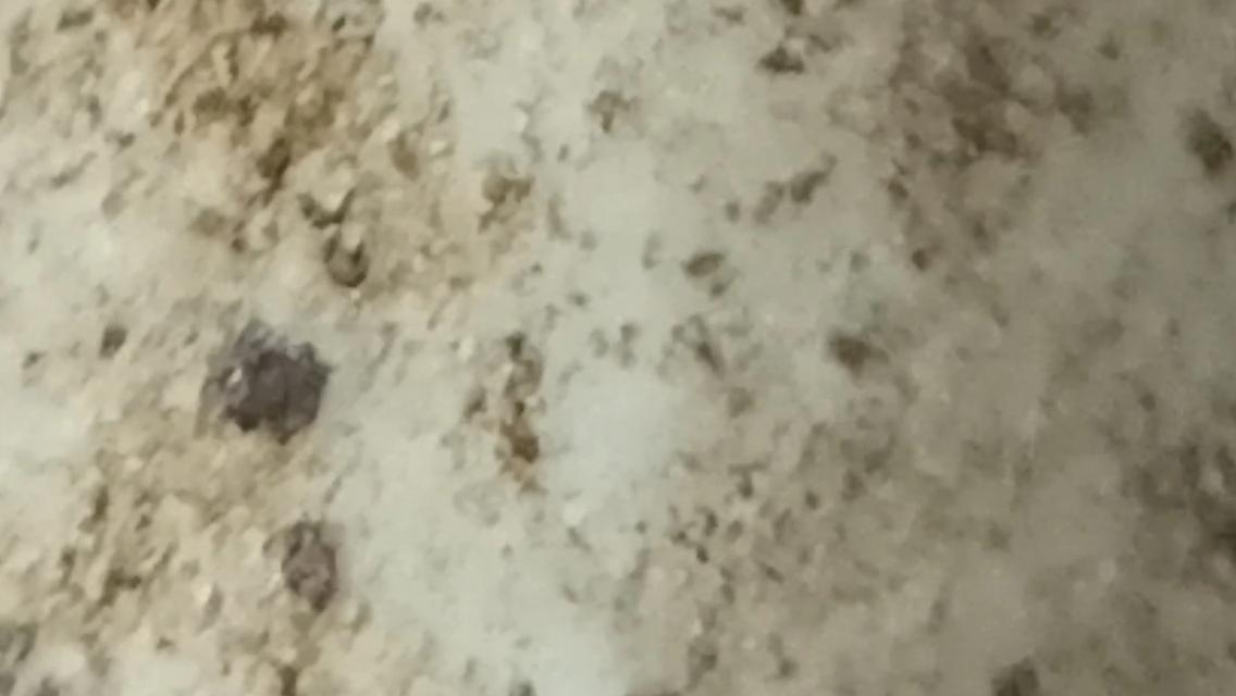 พระสมเด็จวัดเกศใชโยพิมพ์เก้าชั้น รูปที่ 11