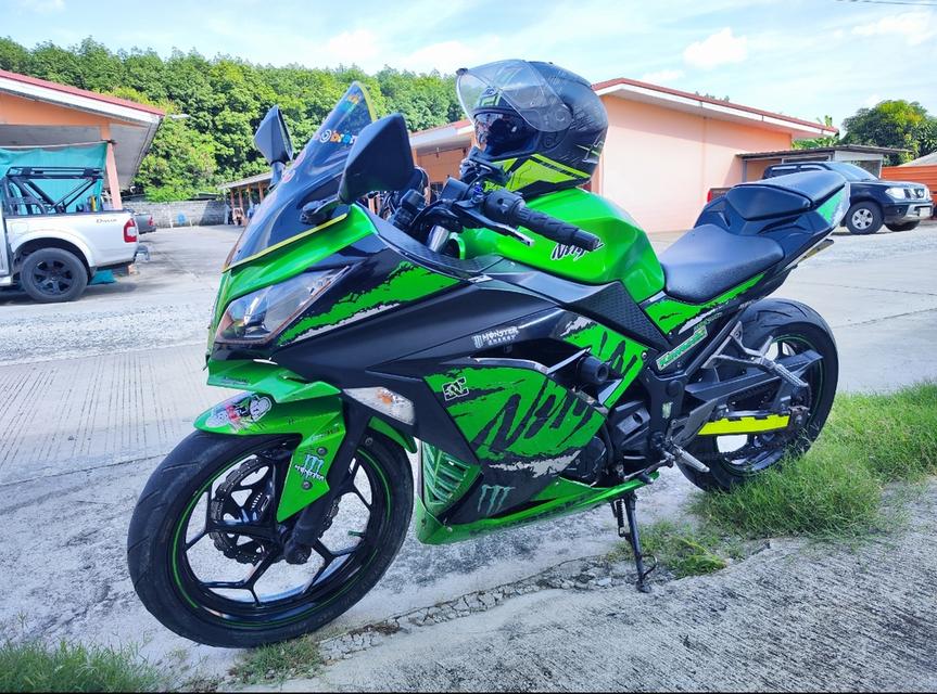 Ninja 300 