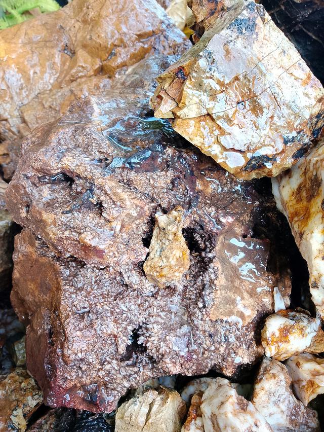 หินแร่ทองคำ อัญมนีต่างๆ รูปที่ 14