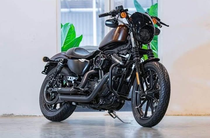 Harley Davidson Iron883 ปี 2019 2