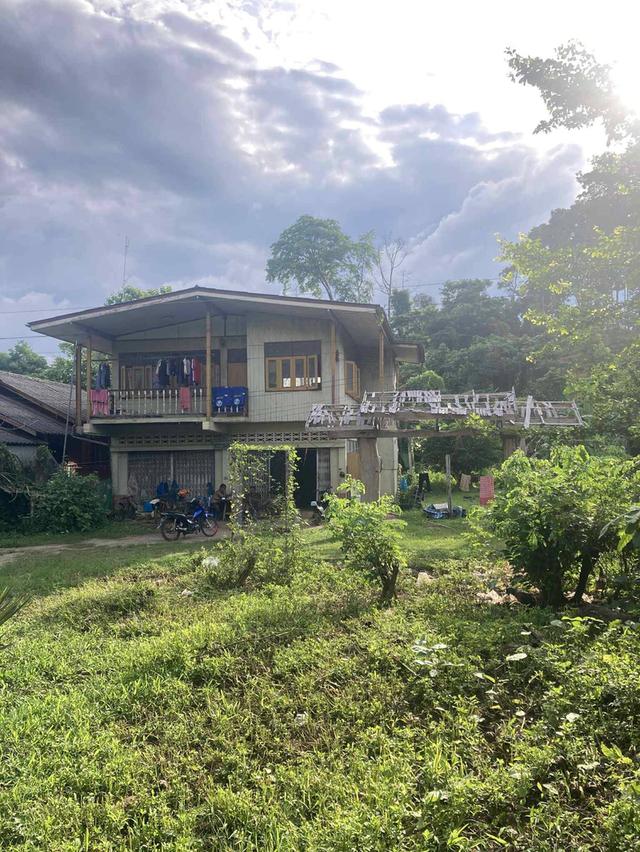 ขายบ้านพร้อมที่ดิน  เนื้อที่ 2ไร่ 2 งาน 74 ตรว ค่ะ 🏠 🏡บ้านห้วยไร่ อำเภอเด่นชัย จังหวัดแพร่ 1