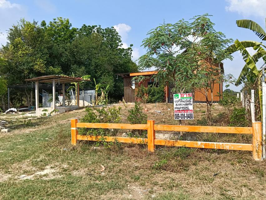 ขายที่ดิน 80 ตร.ว(แถมบ้าน) หมู่ 14 ต.นาเริก พนัสนิคม ชลบุรี 3