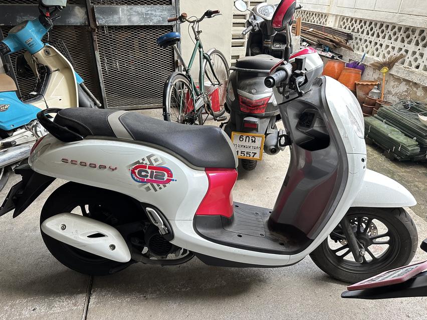 Honda scoopy club12 ตัวท็อป 1