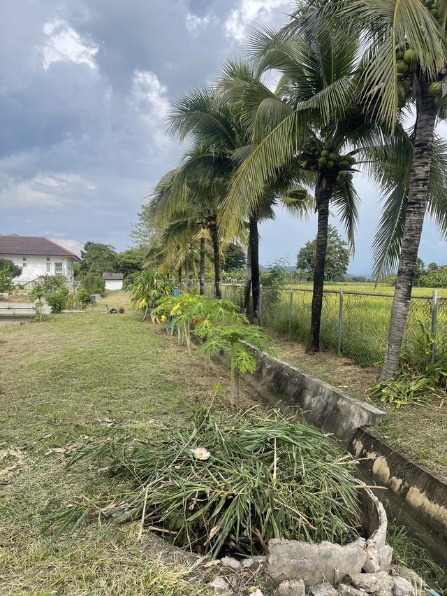 🏡ขายที่ดินพร้อมบ้านสวน พร้อมเข้าอยู่ 👩‍🌾👨‍🌾  📍ตำบล สง่าบ้าน อำเภอดอยสะเก็ด จังหวัดเชียงใหม่ 15