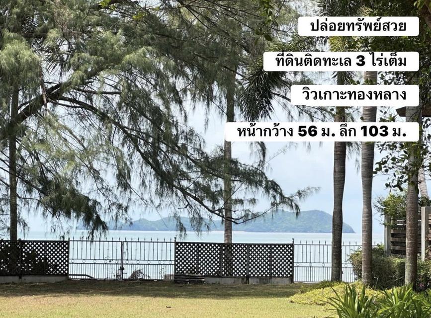 🏖️ 🌊ปล่อยทรัพย์สวยราคาดี วิวทะเล ติดทะเลชุมพร(อ่าวทุ่งมะขาม)  3-0-29 ไร่ วิวเกาะ (เกาะทองหลาง) 1