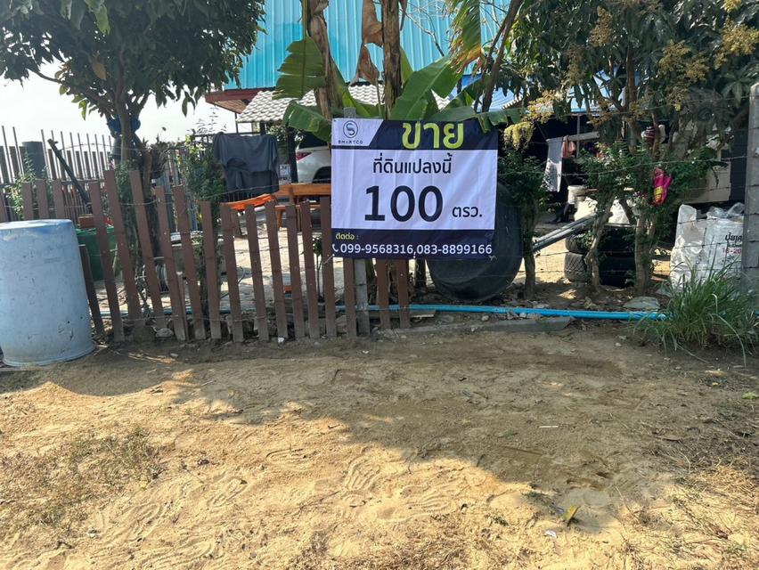 ขายที่ดิน 100 ตรว. ถนน เรียบคลองเจ็ก ลาดหลุมแก้ว ปทุมธานี หน้ากว้าง 17.6 เมตร ลึก 23.8 เมตร 3