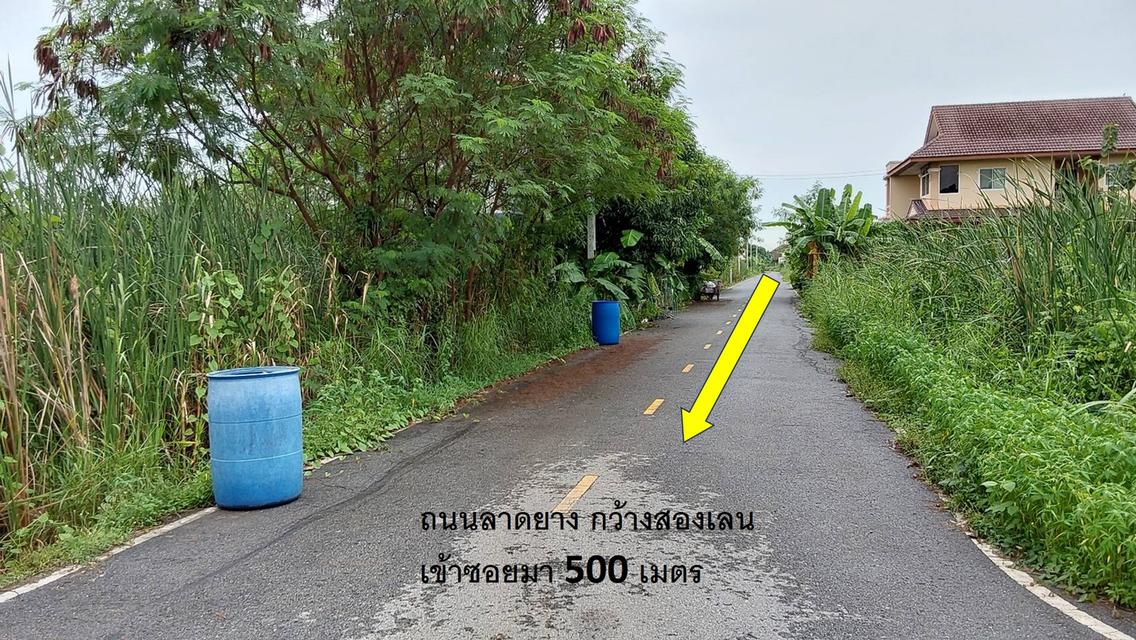 ที่ดินในบางม่วง บางใหญ่ นนทบุรี 53 ตารางวาพร้อมโอน เพียง 900,000 บาท  3