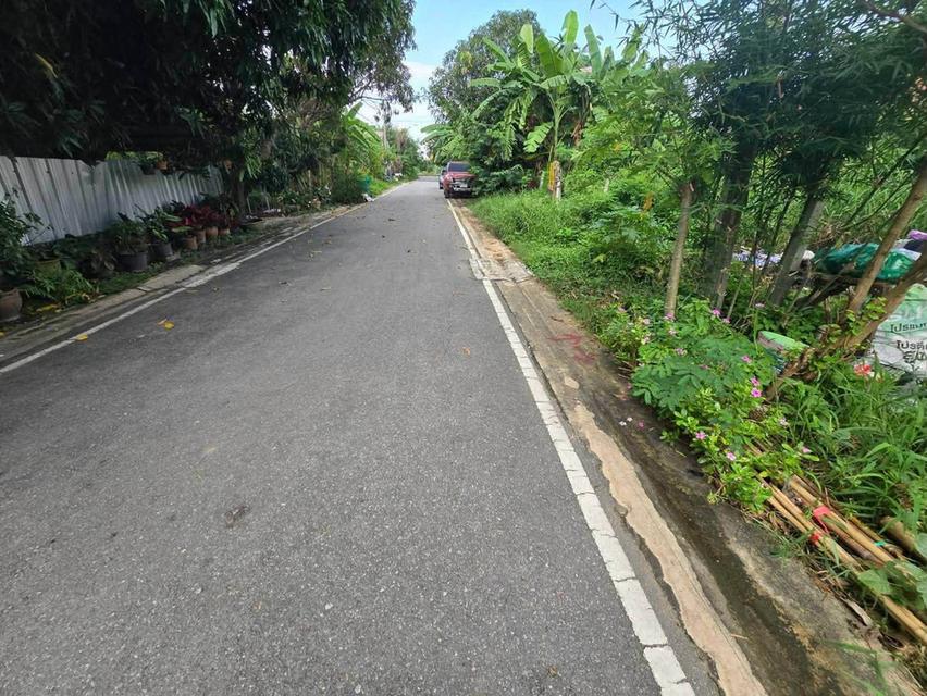 ขายด่วนที่ดิน 52 ตรว ติดถนนลาดยางสาธารณะ ถมแล้ว ต.บางคูรัด อ.บางบัวทอง จ.นนทบุรี 10