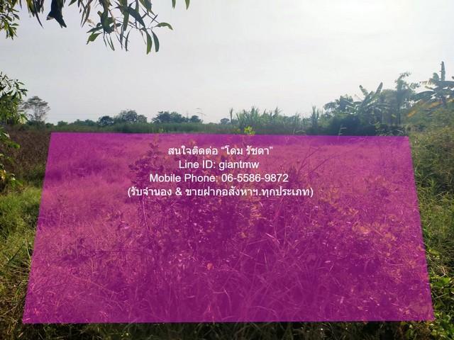 DSL-885 ขาย ที่ดิน เป็นที่ดินเปล่าจัดสรรแปลงเล็ก รูปสี่เหลี่ยมผืนผ้า ที่อยู่มุมสงบ ท่ามกลางธรรมชาติ มีเพื่อนบ้าน อยู่ในผ 8