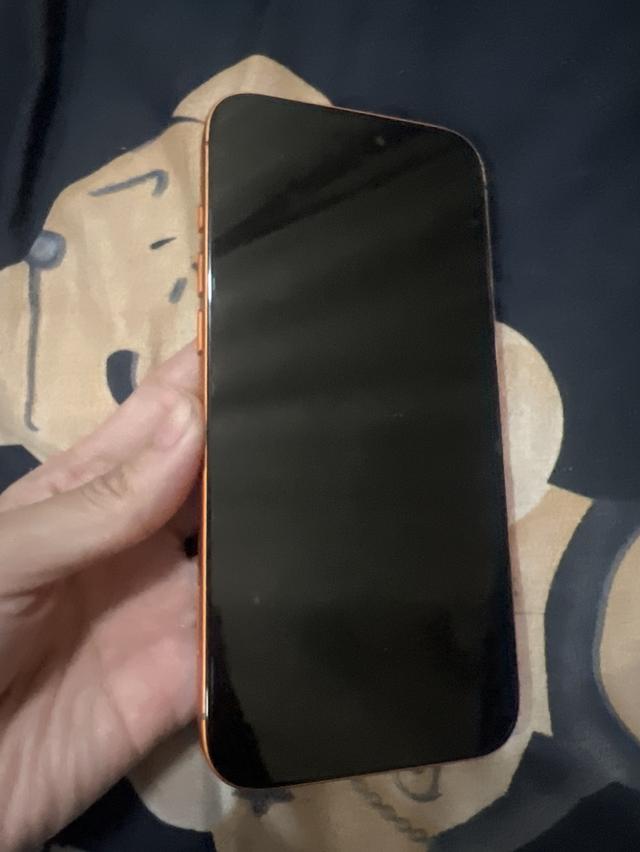 iPhone 17 pro max 2tb