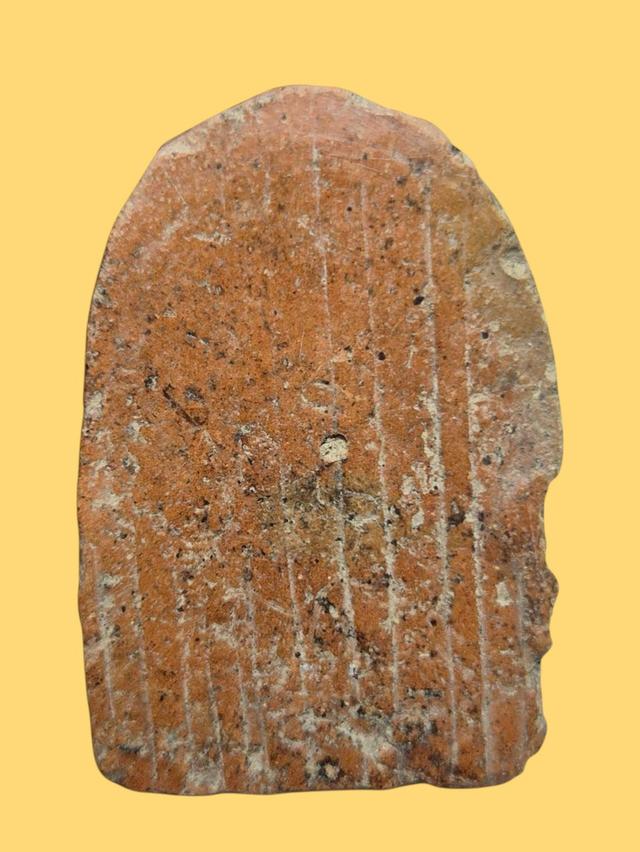 พระซุ้มกอเปิดเช่าบูชา รูปที่ 3