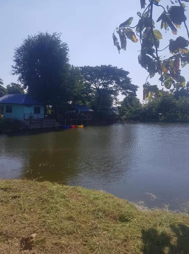 ที่ดิน 4