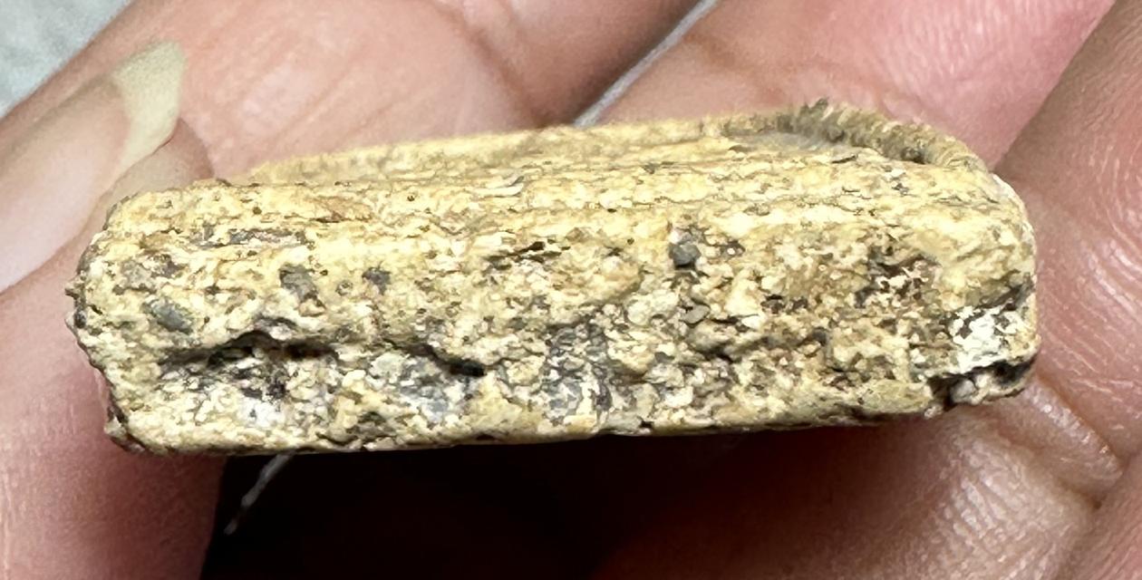 พระสมเด็จ พิมพ์ใหญ่ เนื้อสวย 5