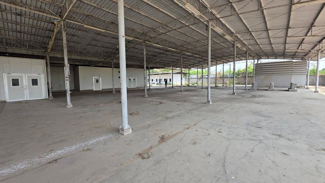 ขายโกดัง Isowall 1,600 ตร.ม. ติดถนนใหญ่ป่าซาง-ลำพูน สภาพพร้อมใช้งานได้ทันที 12