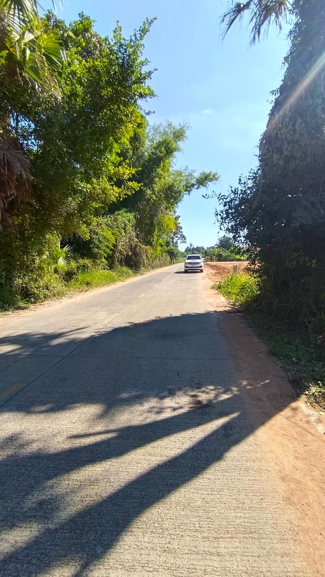 ขายที่ดินตำบลโพธิ์กลางอำเภอเมืองนครราชสีมา ขนาดที่ดิน 15-3- 80 ไร่ รูปที่ 3