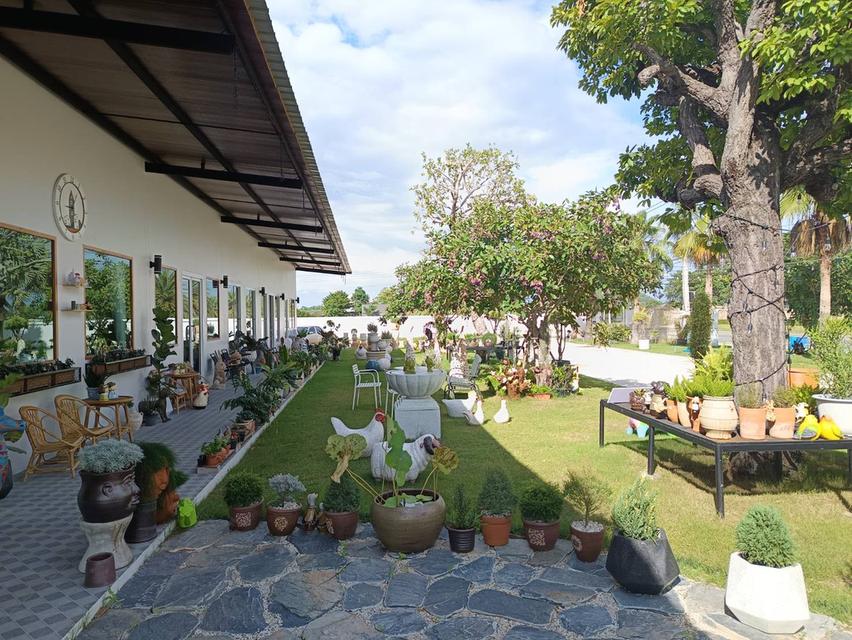 MeKhun Cafe and Bistro (มีคุณ คาเฟ่ แอนด์ บิสโทร) ร้านอาหาร คาเฟ่ เสื้อผ้ามือสอง และของตกแต่งบ้าน ราชบุรี 9