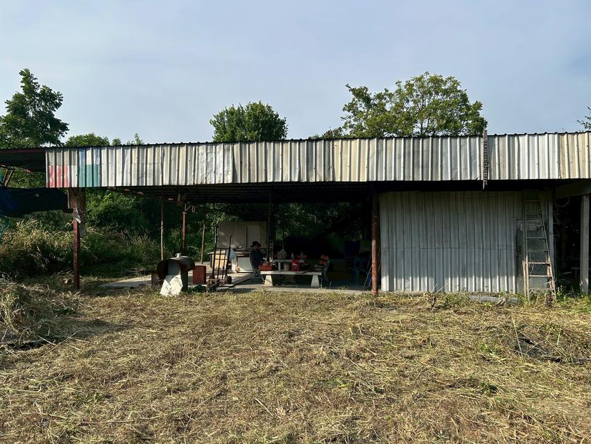 ขายที่ดิน 5 ไร่ ทำเลทองหนองตำลึง ใกล้นิคมอมตะนคร 10