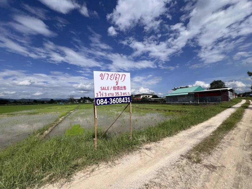 ขายที่ดิน เชียงราย ติดน้ำพุร้อนทุ่งทวี 1