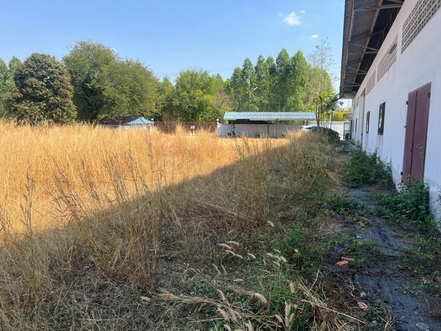 ให้เช่าโรงงานบ้านบึงชลบุรี เนื้อที่ 1,000 ตารางเมตร ติดถนน 344 บ้านบึง,ชลบุรี ที่ดินผังสีม่วงลาย 5