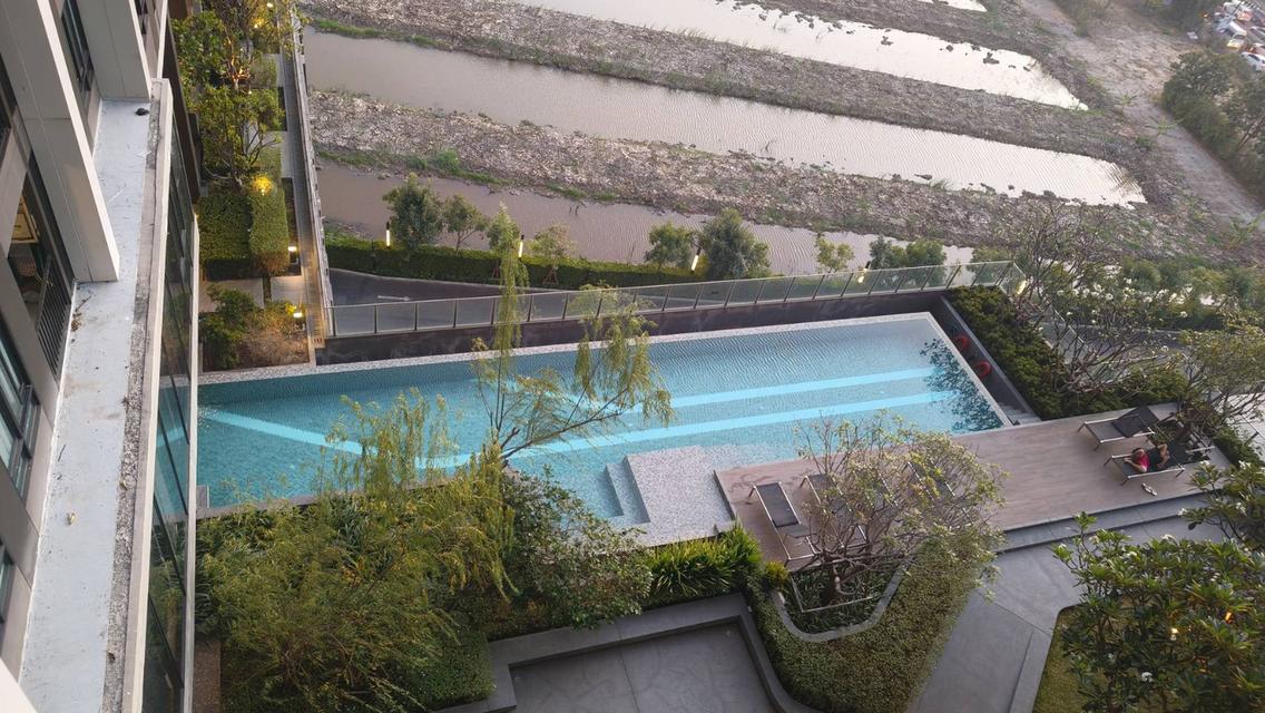 คอนโด Nue Noble Srinakarin lasall 3