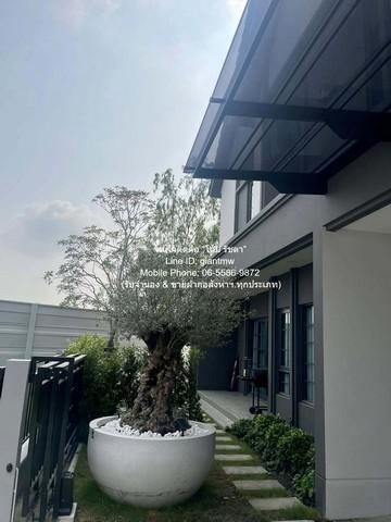 บ้าน ขายบ้านเดี่ยวหรู 2 ชั้น (หลังมุม) พร้อมผู้เช่า ม.เซนโทร บางนา (Centro Bangna) ใกล้ Mega บางนา 77 ตร.ว. 4 น 5 น้ำ 3 8