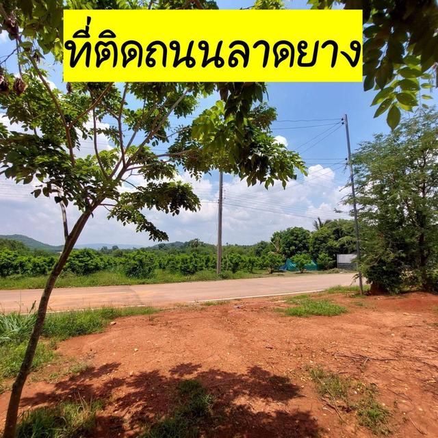 ที่ดินวิวสวย 5 ไร่น้ำ&ไฟ โฉนดพร้อมโอนปากช่อง 3
