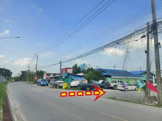ที่ดิน คลอง 9 ธัญญะ ลำลูกกา ใกล้รังสิตนครนายก-คลอง 9 ธัญญะ ฝั่งลำลูกกา ปทุมธานี T.062-1574449 9