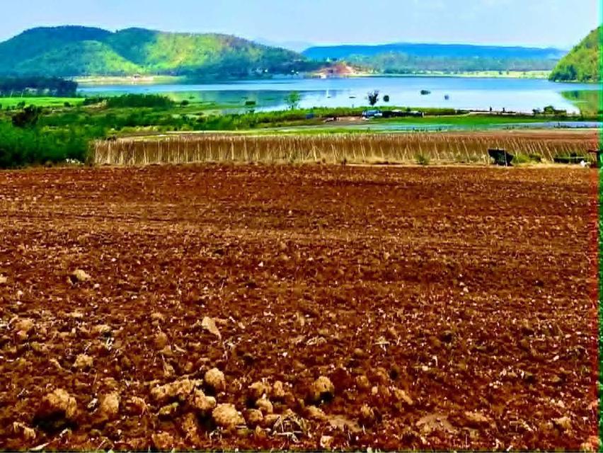 ขายที่ดินแถวจังหวัดกาญจบุรี ไร่ล่ะ 230000 13