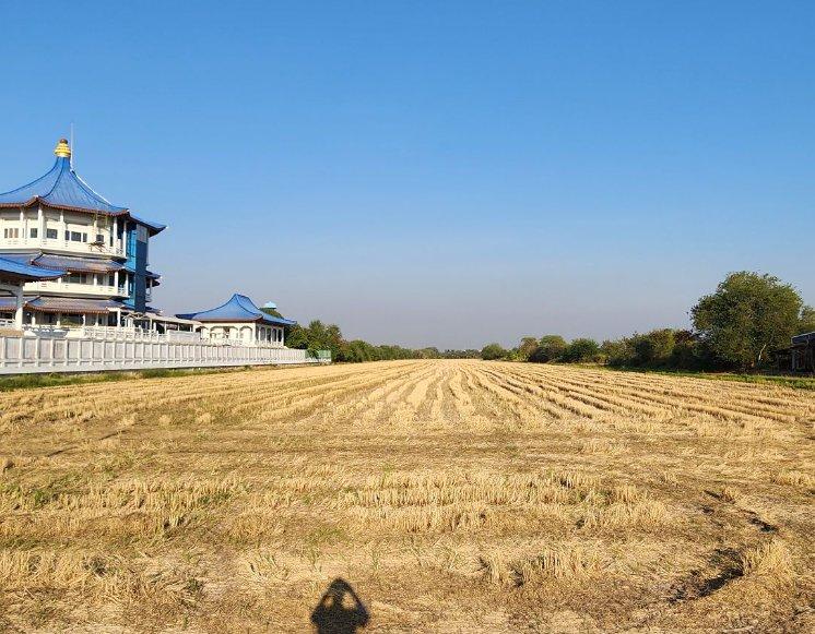 ขายที่ดินวังตะเคียน 53 ไร่ ซอยหลังแม็คโคร ติดคลอง ใกล้ถ.สุวินทวงศ์304-1กม. อ.เมืองฉะเชิงเทรา 2