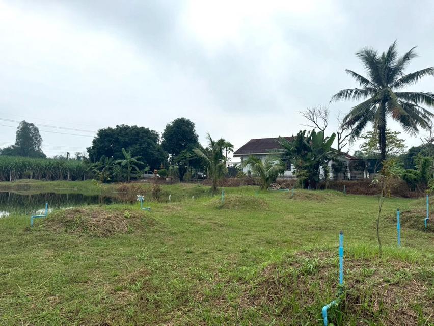 ขาย ที่ดิน พร้อมสวนทุเรียน มีสระน้ำ ระบบสปริงเกอร์ ME391 บ่อกวางทอง บ่อทอง ชลบุรี . 154 ตรม 7 ไร่ 3.7 ตรว ใกล้ถนน 3340 ท 5