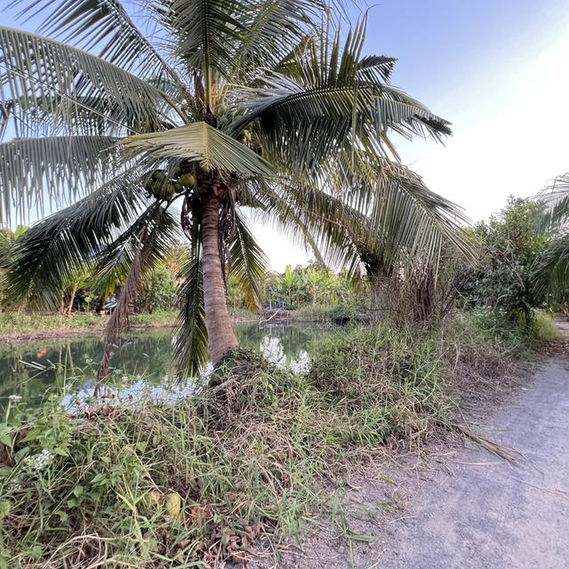 ที่ดินพร้อมสิ่งปลูกสร้าง 5