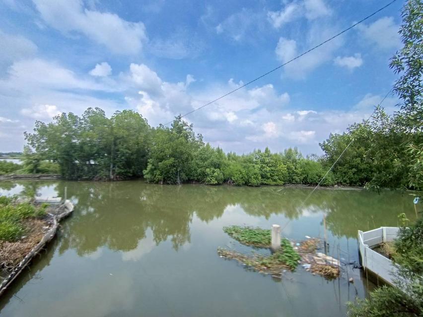 ขายที่ดิน ท่าข้าม บางขุนเทียน เหมาะทำนากุ้ง 383.4 ตร.วา ราคาถูกเพียง 9.9 แสน 6