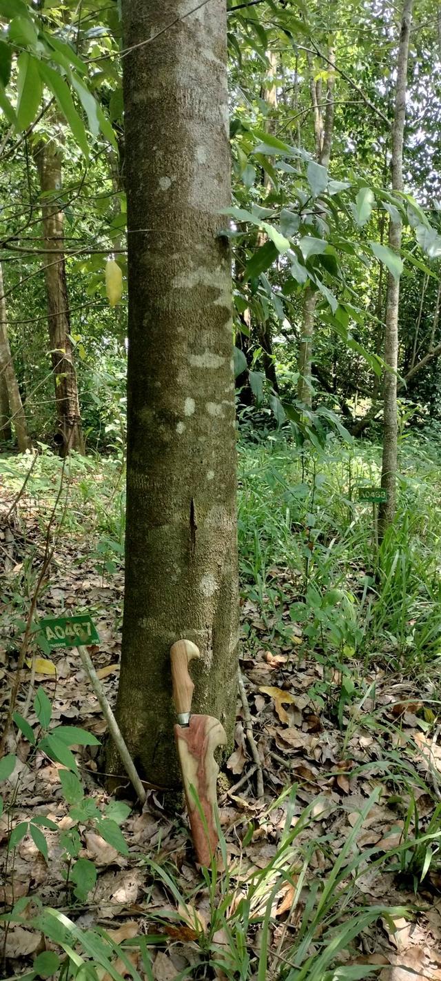 ขายที่ดินแปลงใหญ่ ราคาถูกสุดในย่านนี้ 2