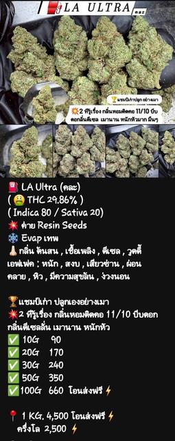 กัญๆ📲💯 18