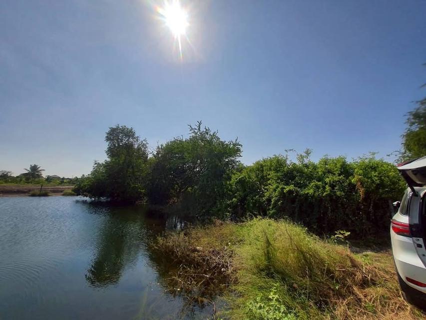 ขายถูก !! ที่ดินใกล้วัดราษฎร์นิยม 200 ตารางวาติดถนนสาธารณะ ถมแล้ว อ.ไทรน้อย จ.นนทบุรี 7