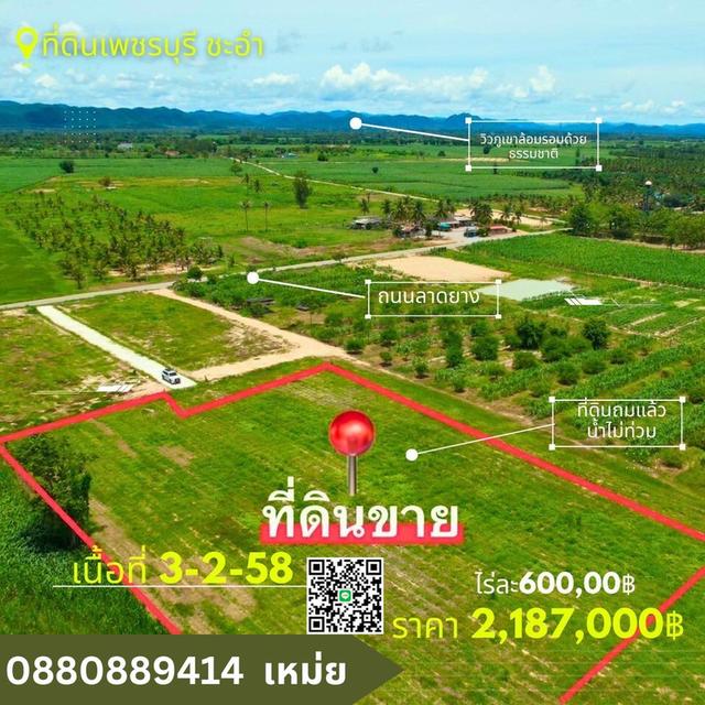 ที่ดิน ชะอำ เพชรบุรี ไร่ละ 6แสนบาท ขายยก 3-2-58 ไร่  11