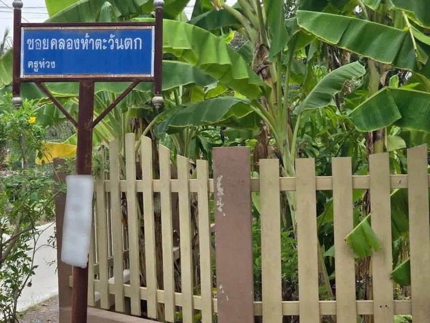 ขายด่วนที่ดิน 100 ตารางวา ติดถนนลาดยางสาธารณะ ซอยครูห่วง คลองหลวง ปทุมธานี 2