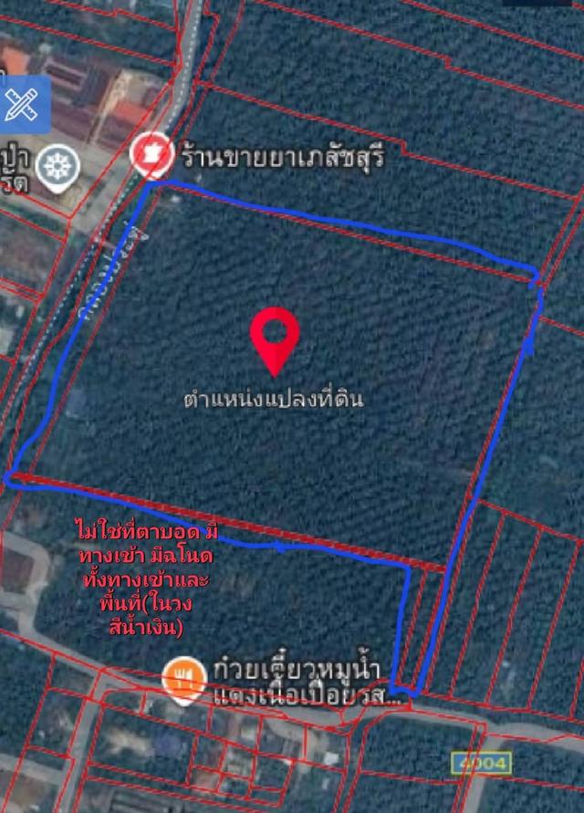 ที่ดินสวนมะพร้าว 35 ไร่ ต.วัดเพลง อ.อัมพวา