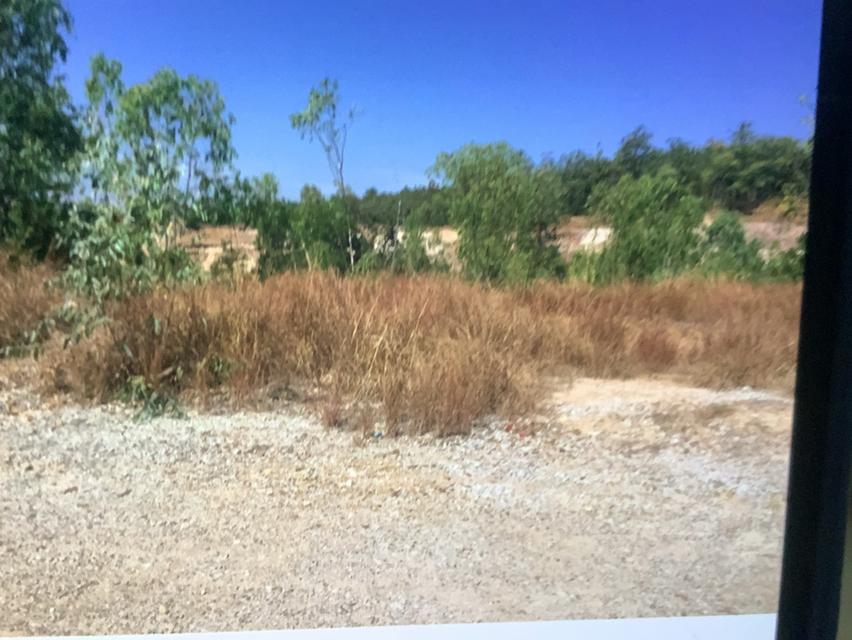 ที่ดิน 82 ไร่ พื้นที่สีเขียว โฉนดครุฑแดง ไฟฟ้า 3 เฟส น้ำประปา 3