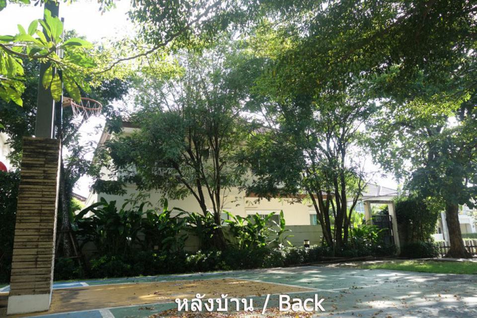 รูป ขายบ้านเดี่ยวเดอะเซนโทรรัตนาธิเบศร์ 85ตารางวา 4นอน 4น้ำ สวยเฟอร์ฯครบพร้อมเข้าอยู่ ติดสวนโครงการ ใกล้MRTสายสีม่วง สถานีบา 2