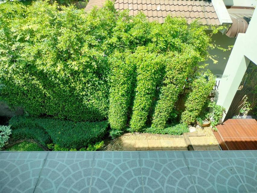 💢🚩บ้านเดี่ยว  ติดสวน ทำเลดี 🏠 คาซ่าวิลล์ บางนา สุวรรณภูมิ 16