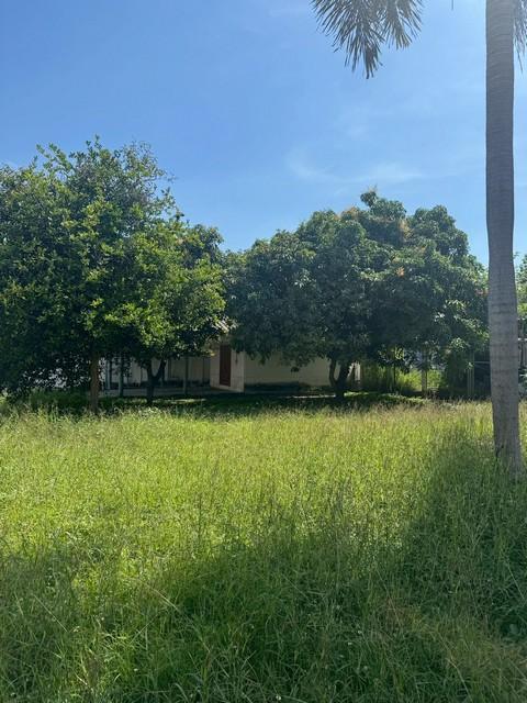 ให้เช่าที่ดิน93ตร.ว.ย่านอารีย์ อารีย์สัมพันธ์3 เหมาะกับทุกธุรกิจร้านอาหารคาเฟ่สปาสตูดิโอหรือโฮมออฟฟิศ ใกล้กระทรวงการคลัง 8