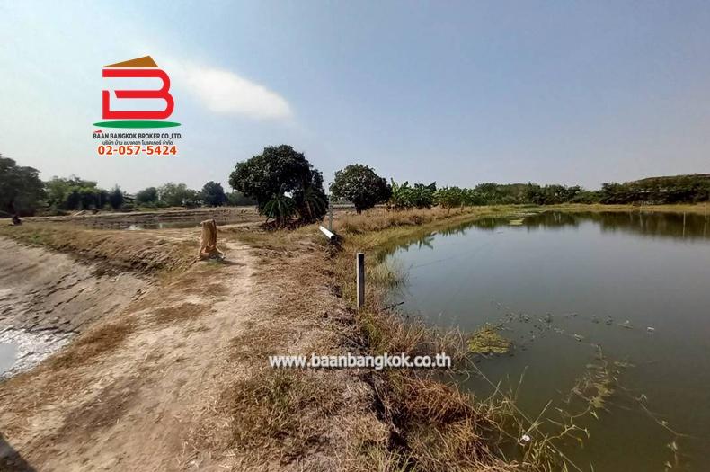 ที่ดิน ซอยโรงหลวง (ใกล้ห้างตะวันออกคอมเพล็กซ์) เนื้อที่ 9 ไร่ 1 งาน 67 ตรว. ตำบลหนองตีนนก อำเภอบ้านโพธิ์ ฉะเชิงเทรา 8