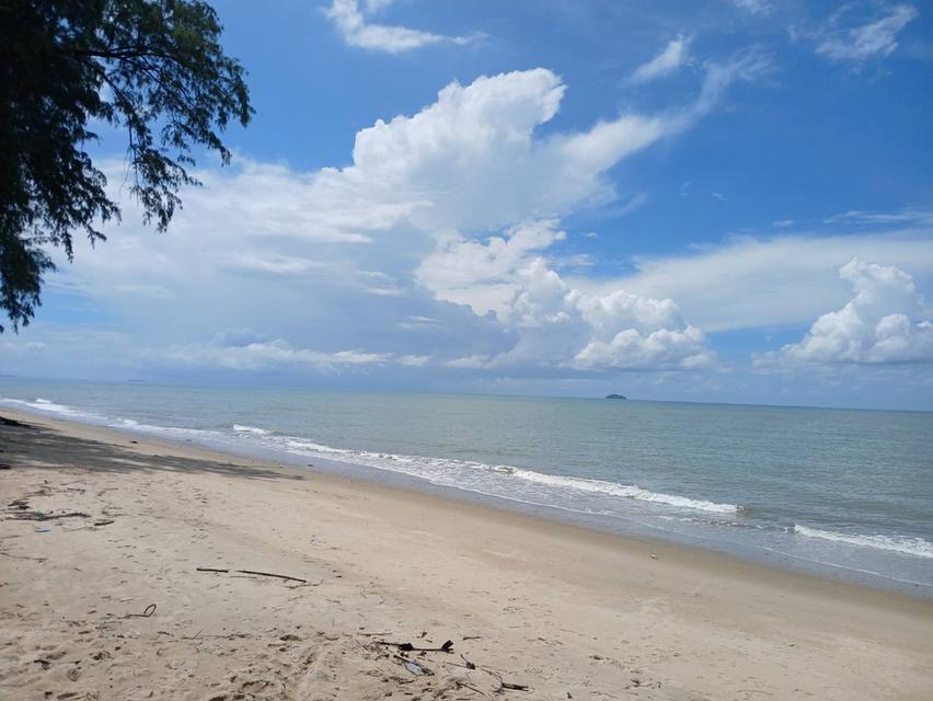 ที่ดินห่างชายทะเลหาดสวนสน จ.ระยอง 500 เมตร 9