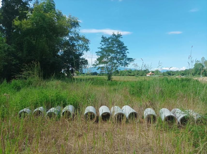 ขายที่ดิน ราคา3,980/ตร.ว. ต.สำราญราษฎร์ อ.ดอยสะเก็ด จ.เชียงใหม่ 10